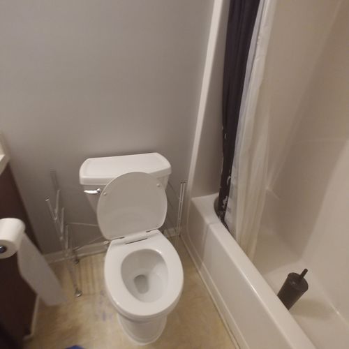 replaced toilet