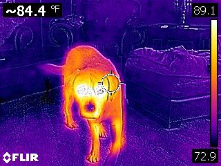 FLIR infrared technology.