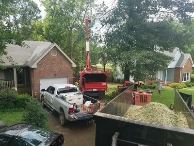 stump removal ottawa, 37127 Murfreesboro TN