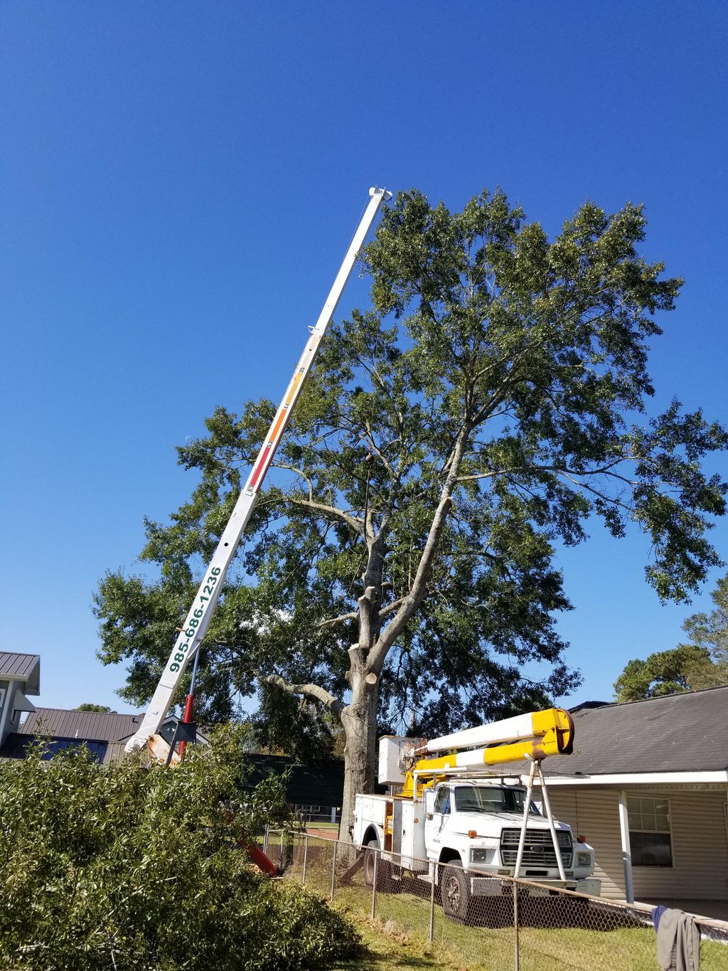 High Tops Tree Services