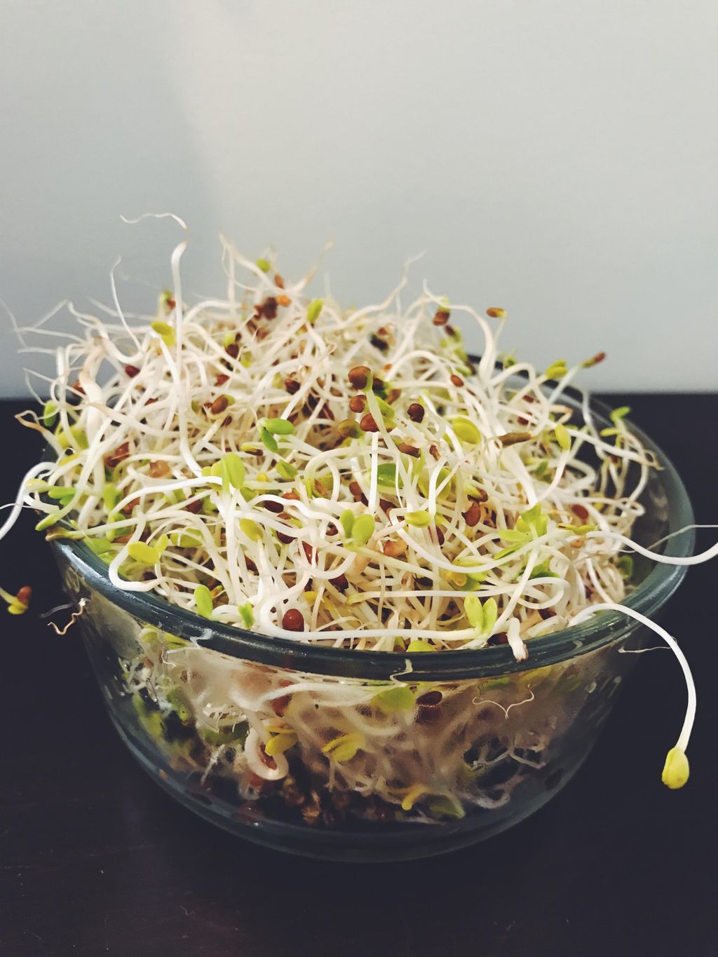 Home Grown Sprouts : are a create source of vitami
