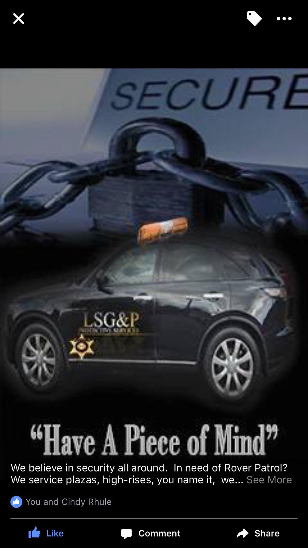 LSG & P Protective Services