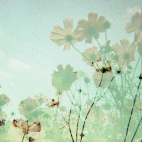 Be Still Photography