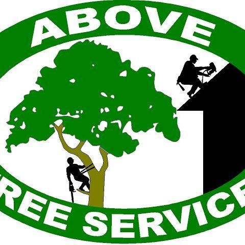 Above Tree Service