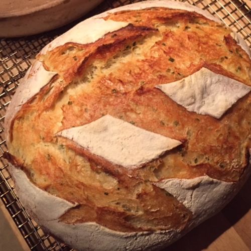 Peasant Bread from the oven