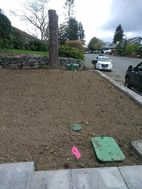 Front yard in University Place prepped for sod or 