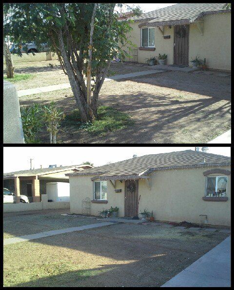 Before and After