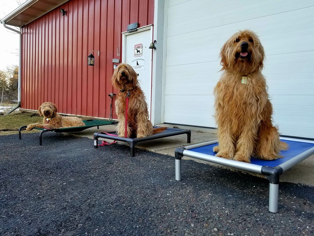 Doodles Practicing "Place"