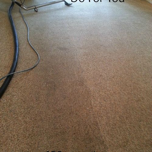 Carpet Before and After