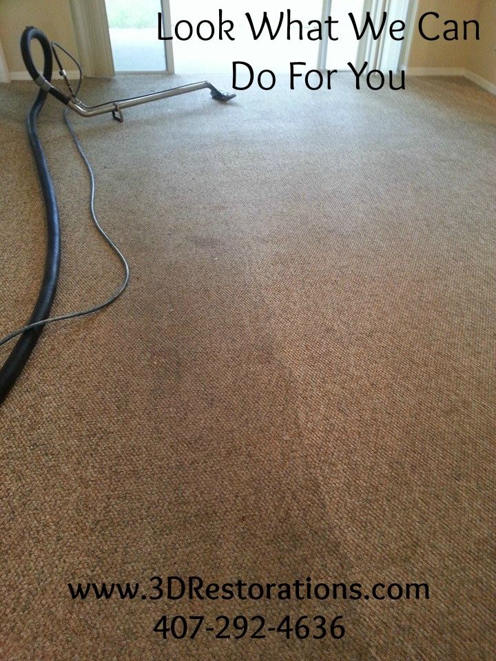 Carpet Before and After