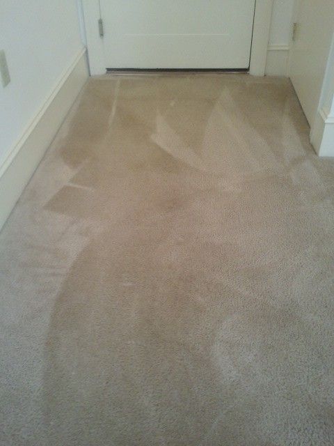 Green Frog Carpet Cleaning