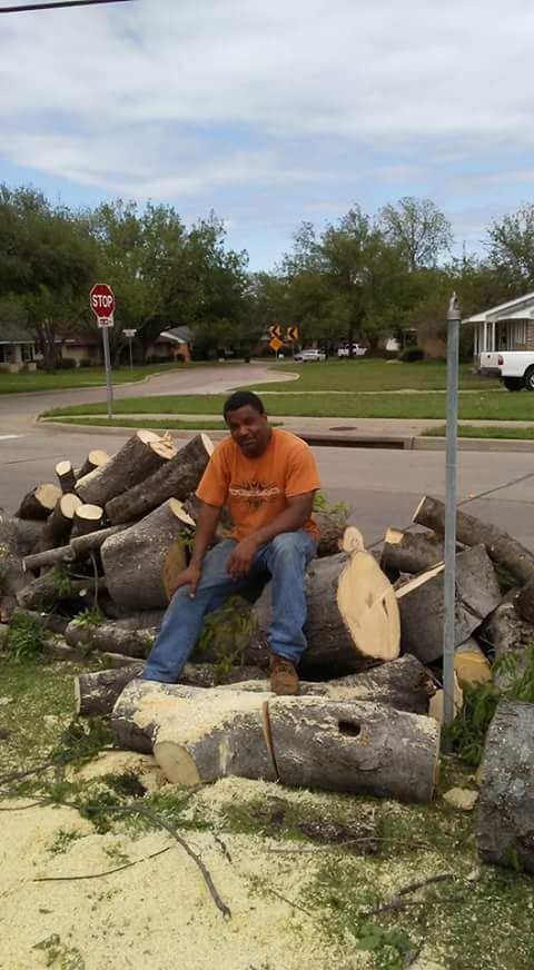 Urban Lumberjack Tree Service