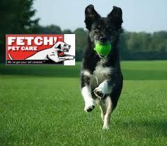 Fetch! Pet Care - - We've Got Your Tail Covered!