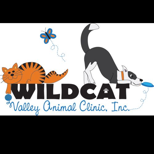 Logo I designed based on a sketch from my client.