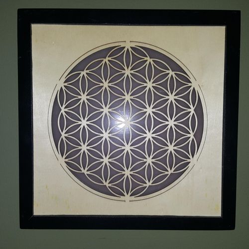 Flower of Life. They say that the patgern holds th