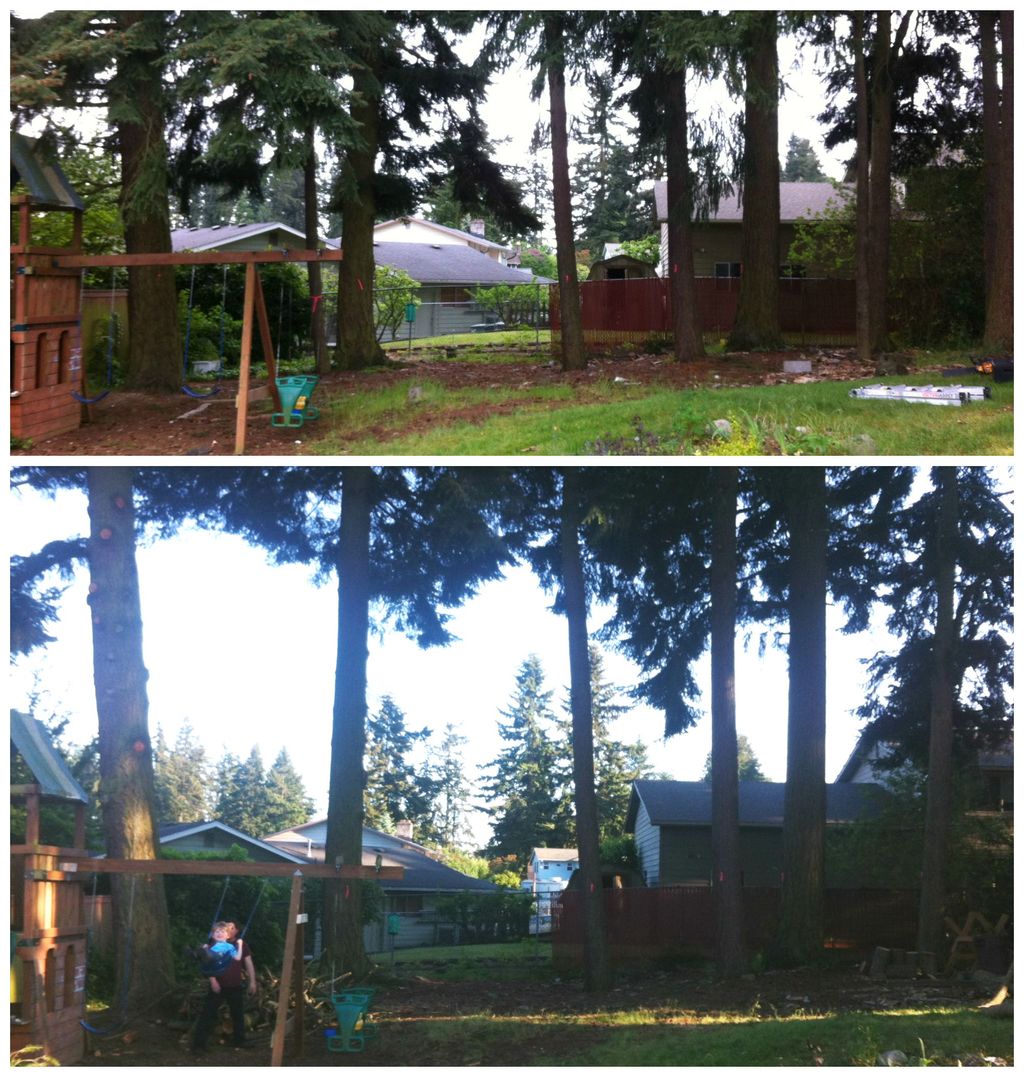 Occasionally I do some yard and tree work.  Here I