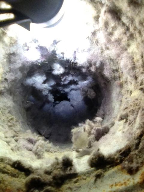 VEFORE the cleaning, this homeowner's dryer was ta