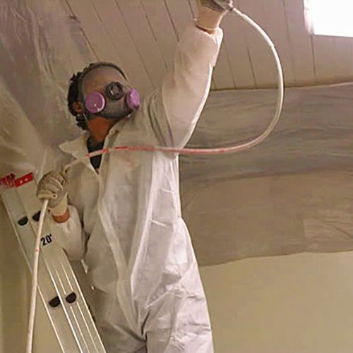 Mold Removal Charlotte