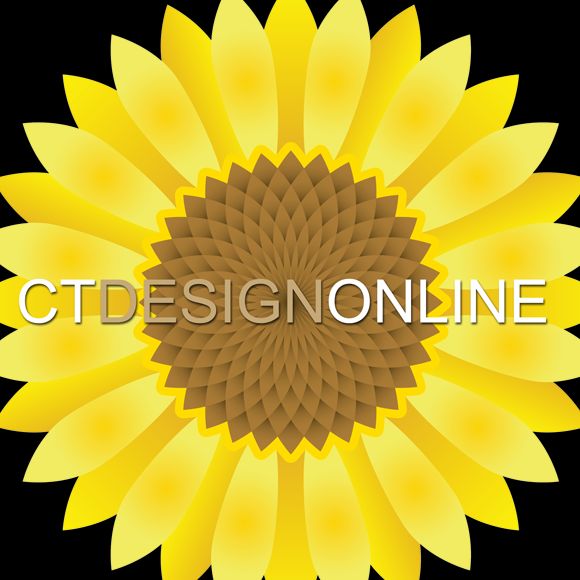 CT Design Online