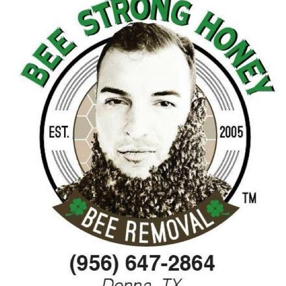 Bee Strong Honey and Bee Removal