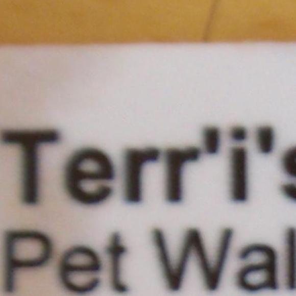 Terri's Purr-fect Pet Sitting & More