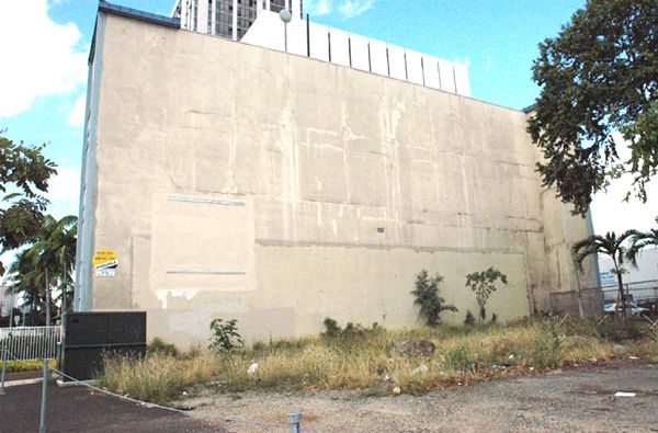 Mana Nalu, before image