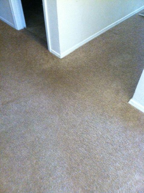 After photo of high traffic hallway clean.