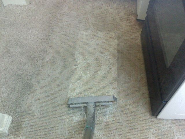 Alpha Carpet Cleaning &  Restoration