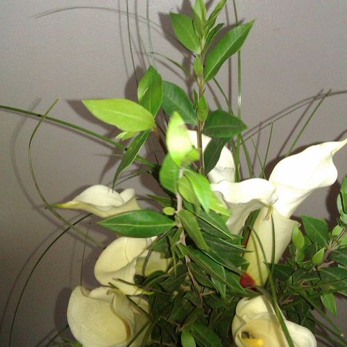 Bride all White Calla Lilies $125.00 and up.