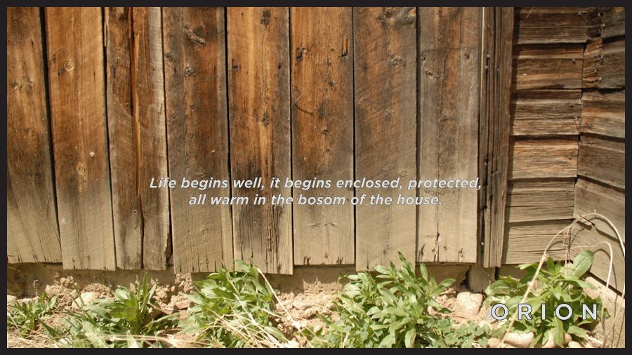 Life begins well.