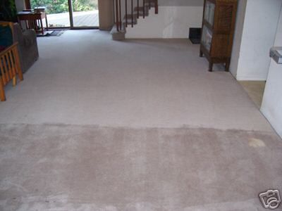 Brien OBrien Carpet Cleaning