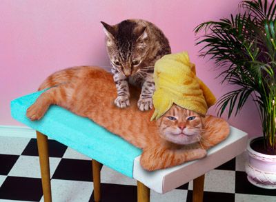massage is good for anyone