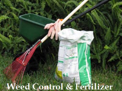 Weed Control