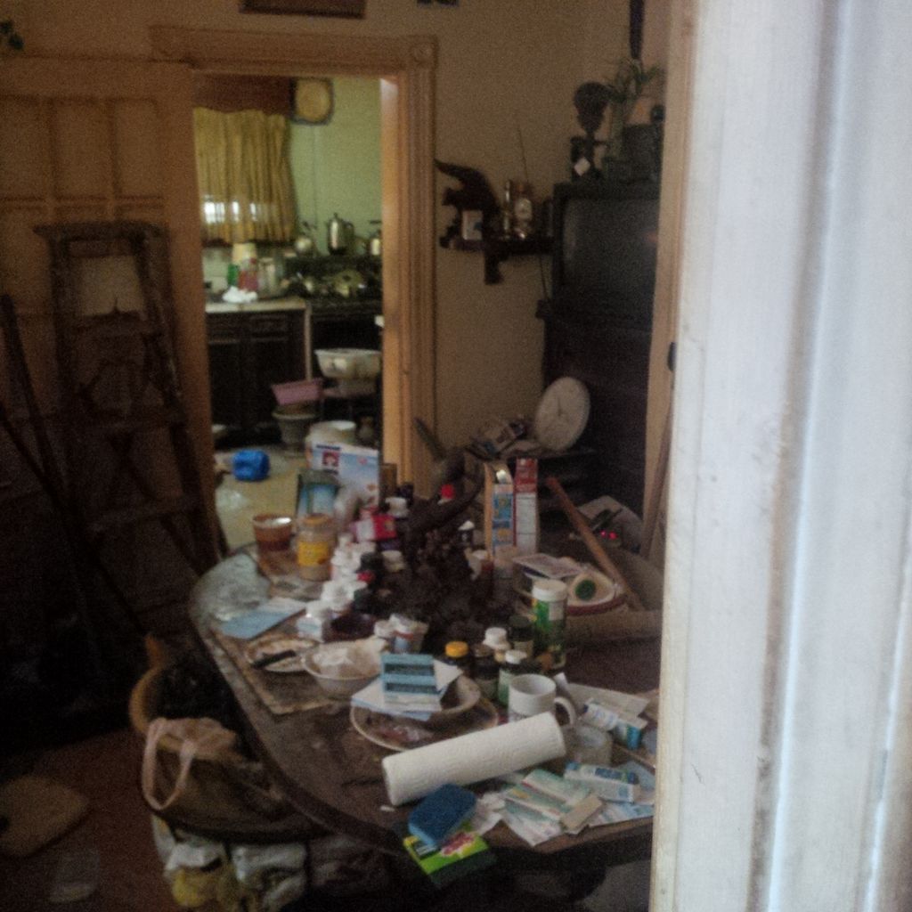 Dining Room Before Cleaning/Junk Removal