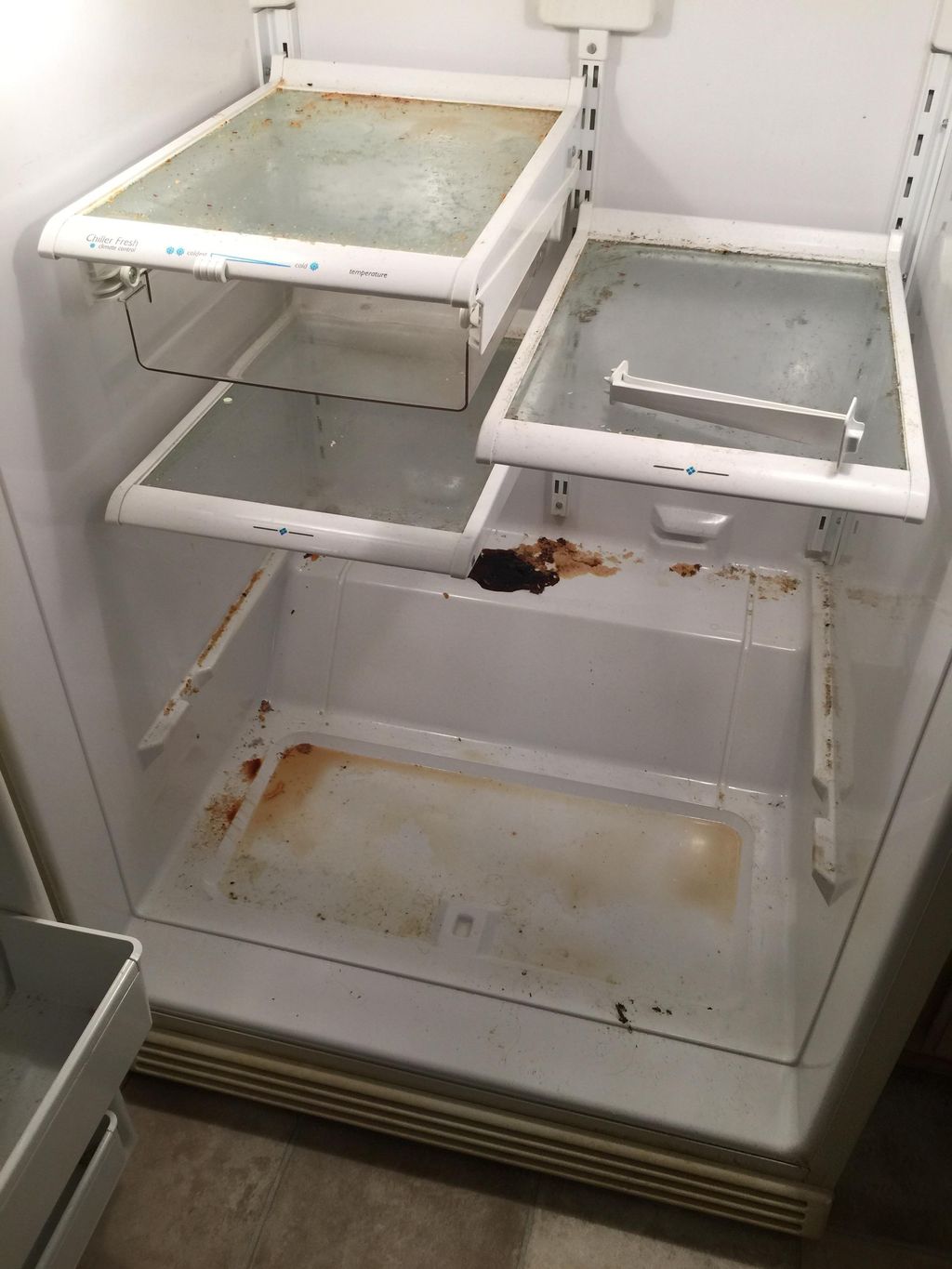 Before fridge cleaning