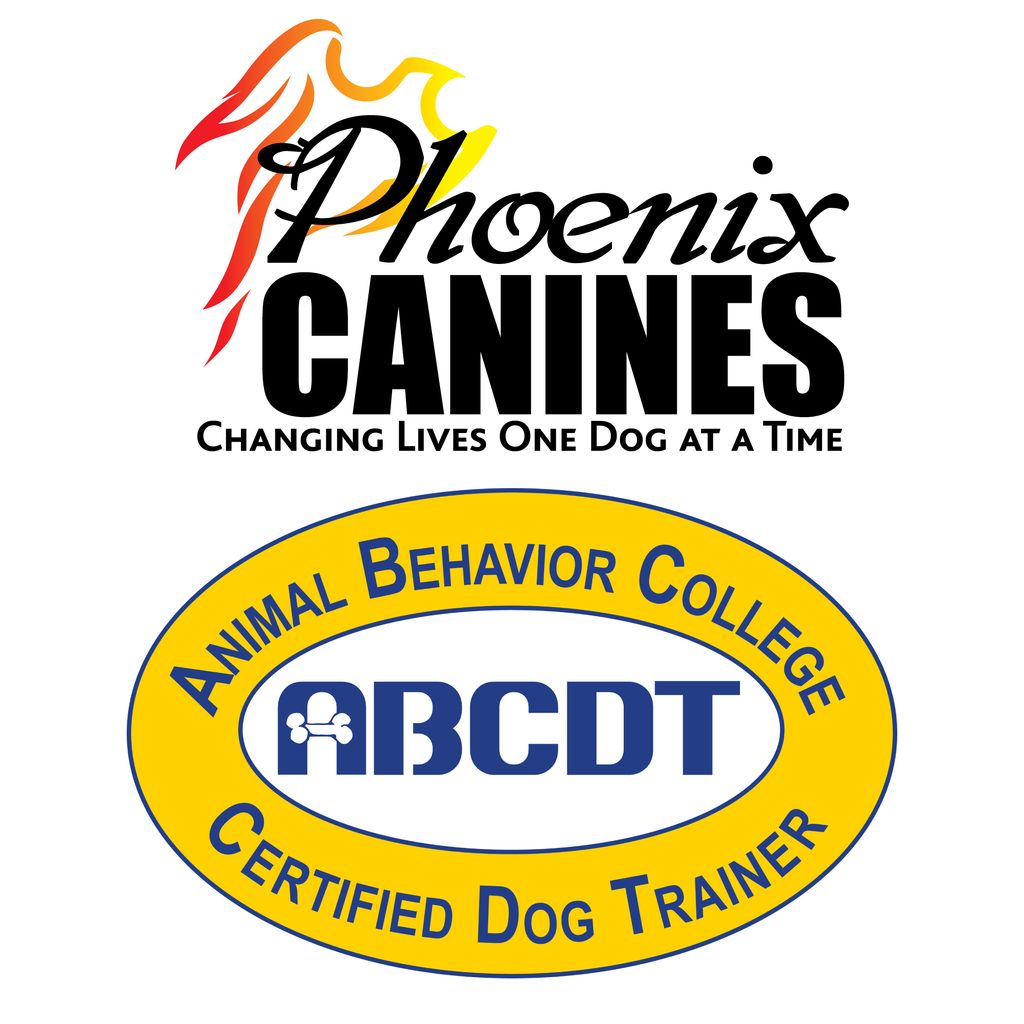 Certified Professional Dog Trainer