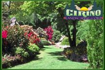 Cirino Landscaping