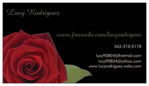 Lucy's Domestic & Event Services