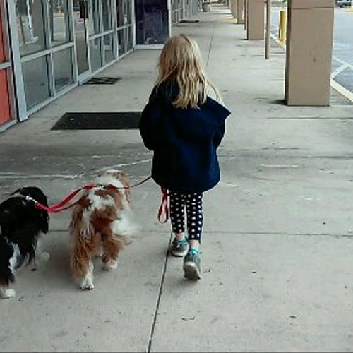 Loose leash walking at its best!