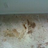 The dirty room