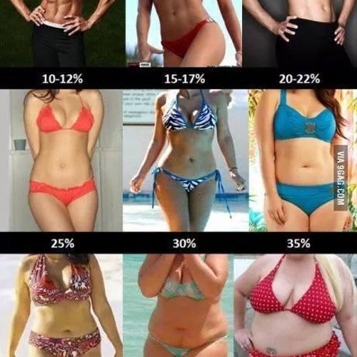 Comparing body fat percentages