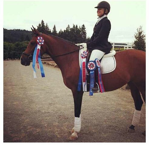 Dressage