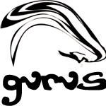 GURUS Communications