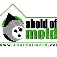 Ahold of Mold Environmental
