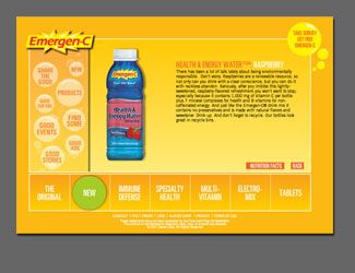 Flash Website Development