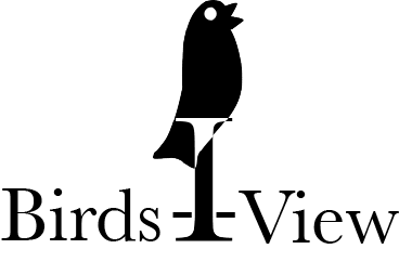 Unused logo I created for Birds-I-View