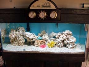 This is the after picture of the exact same 90 gal