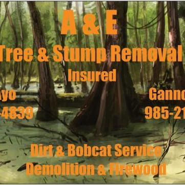 A & E Tree and Stump Removal