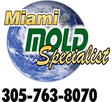 Miami Mold Specialist- mold inspection, mold testi