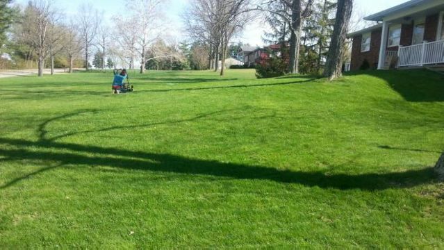 Here is another angle of the project.